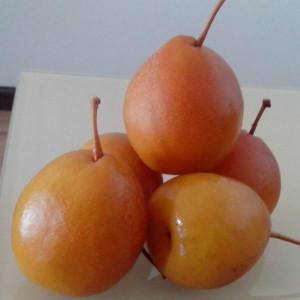 云南特产泡梨个旧水泡梨腌梨子酸甜味新鲜水果梨加甘草腌制4.2斤