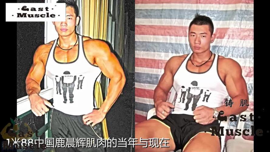 铸肌:亚洲健美名将鹿晨辉的肌肉进化史!