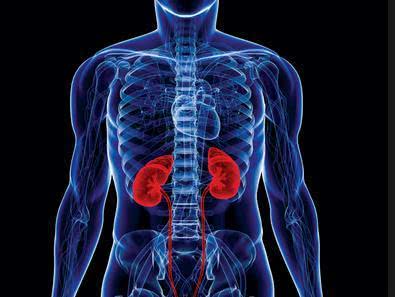 肾功能弱的人身体会出现"三黑一白",分别说的是什么?