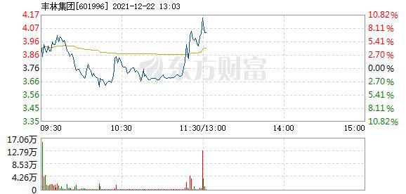 丰林集团12月22日打开涨停