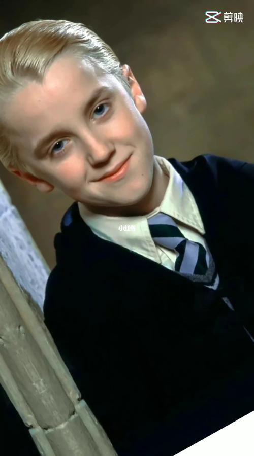 宝藏男孩马尔福_汤姆费尔顿_娱乐_明星娱乐资讯