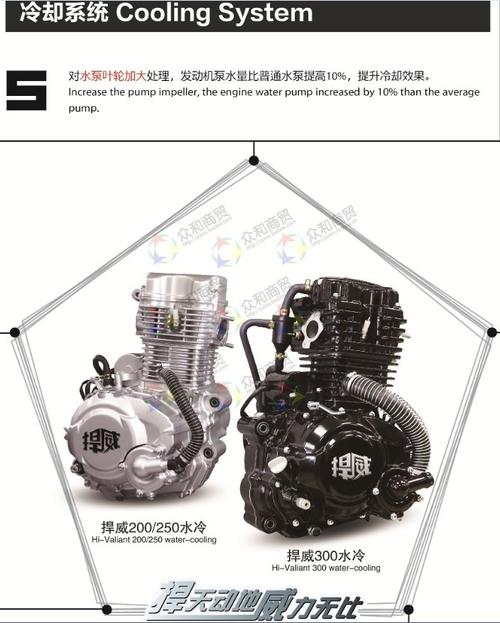 宗申动力175海啸200悍威250捍威300cc三轮车摩托车水冷发动机总成_7折