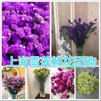 鲜花批发百合鲜花,康乃馨,富贵竹,勿忘我生日