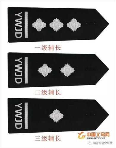 这个地方的辅警有了新警衔是这样的