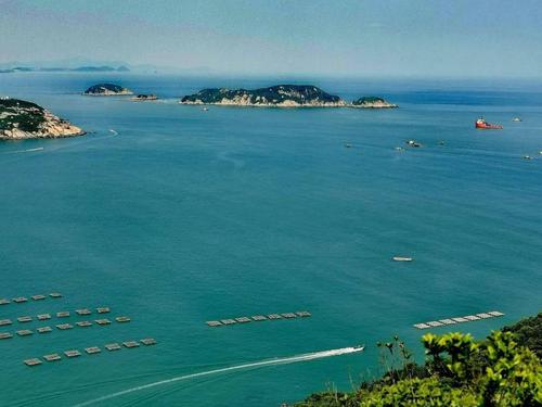 12.19高栏港穿越丨珠海醉美海岸线,徒步高栏港看风车,偶遇白海豚