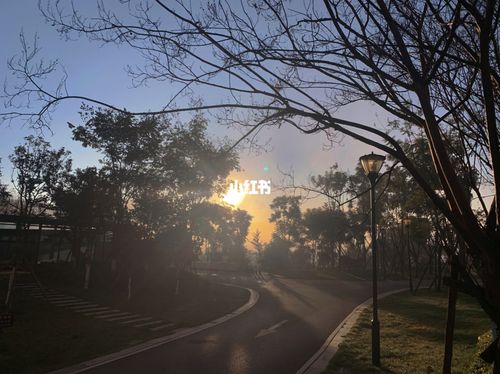 早起的早晨_出行_出行其他