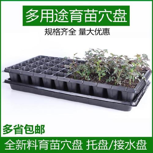 多孔育苗盘种植盘花草扦插苗育种盘长方盘农具接水盘营养袋50孔