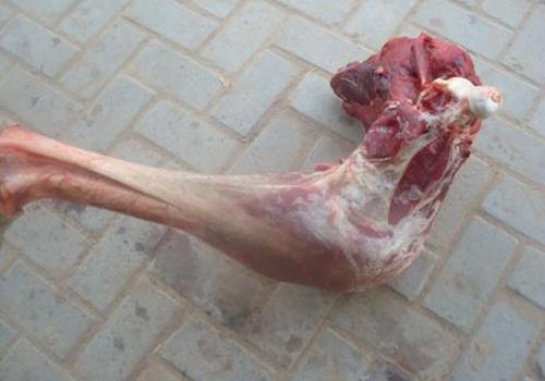 吃鸵鸟肉有什么好处 鸵鸟肉有什么营养价值