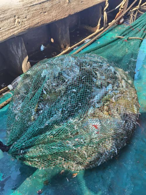 第一次出海捕鱼