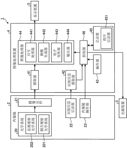 图像处理装置,内窥镜系统,图像处理方法以及程序与