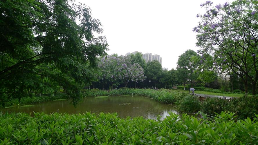 相约茶园同景,湿地公园(一)