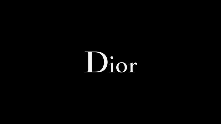 dior ppt制作