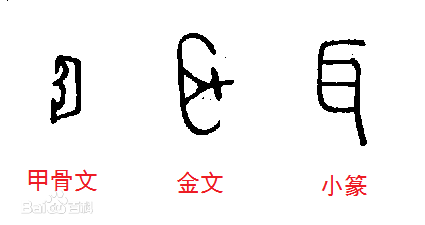 汉字"耳"的甲骨文金文篆书演变图