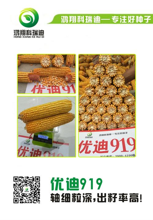 优迪919与您风雨同舟,共赢未来!