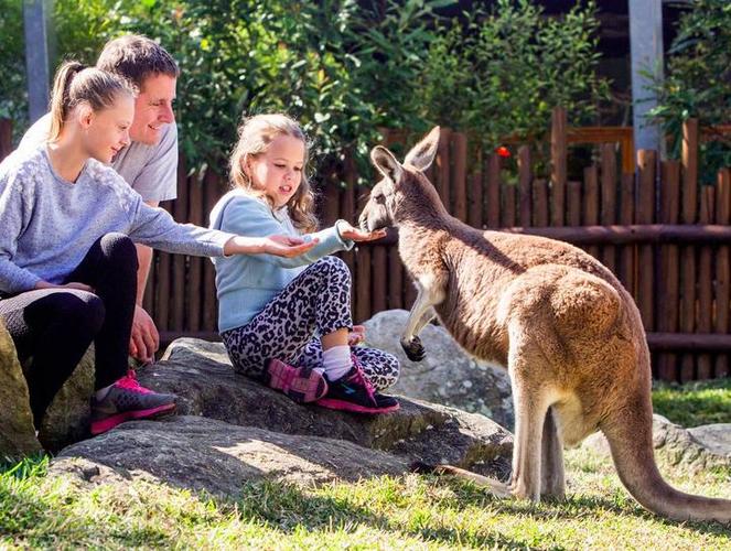 悉尼塔龙加动物园套票