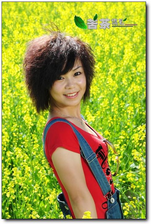 油菜花海伊人媚 (/)