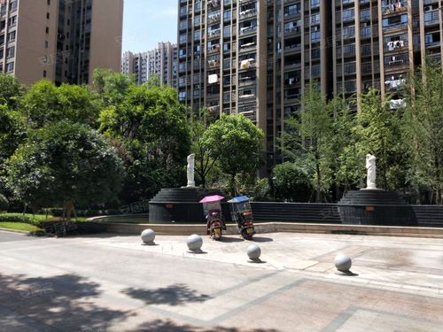 金山国际新城,芙蓉西路1号-常德金山国际新城二手房