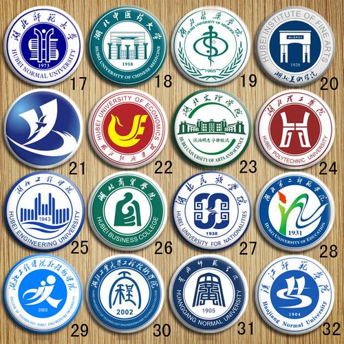 武汉科技轻工大学城市晴川体育音乐武昌首义华夏理工学院校徽胸针