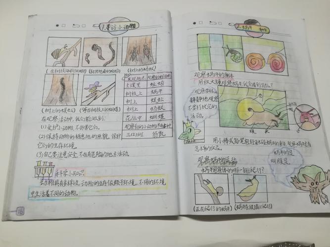 三年级科学记录本