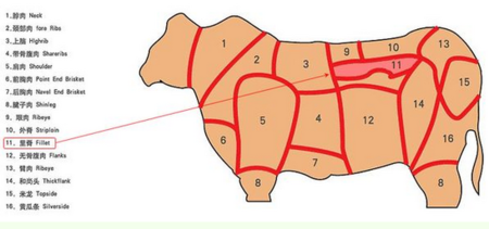 牛里脊在哪部位图解