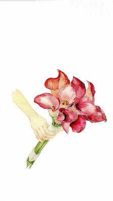 赠人玫瑰之手_经久犹有余香】唯美插画#花卉# | 吴梦竹wumengzhu521