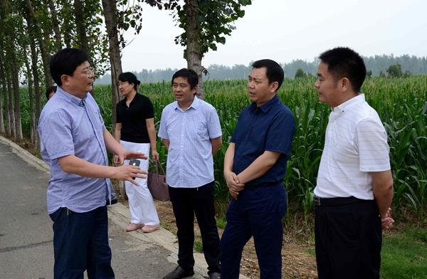 区委常委,纪委书记褚松涛到红泥湾镇镇调研指导信访维稳及河道水污染