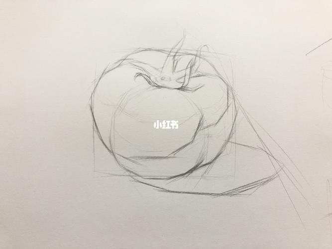 西红柿97示范_西红柿_素描_文化_绘画