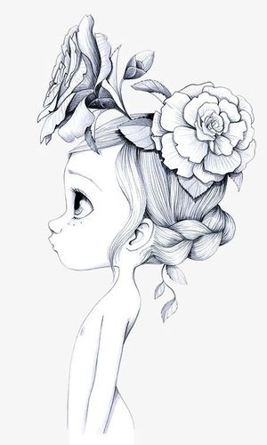 铅笔画   线描  花朵   戴画    黑白