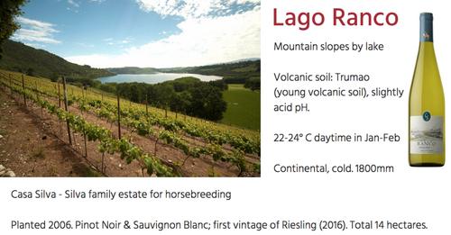 on the chilean side, patagonia is cool and wet, whereas on the