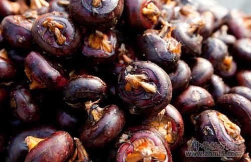 荸荠的功效与作用禁忌(促进身体发育发育和酸碱平衡)