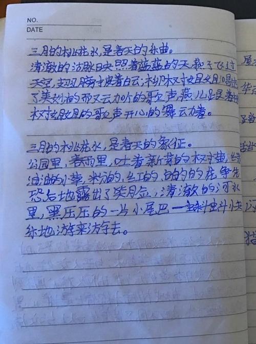 燕山二小1602班《三月桃花水》仿写优秀作品