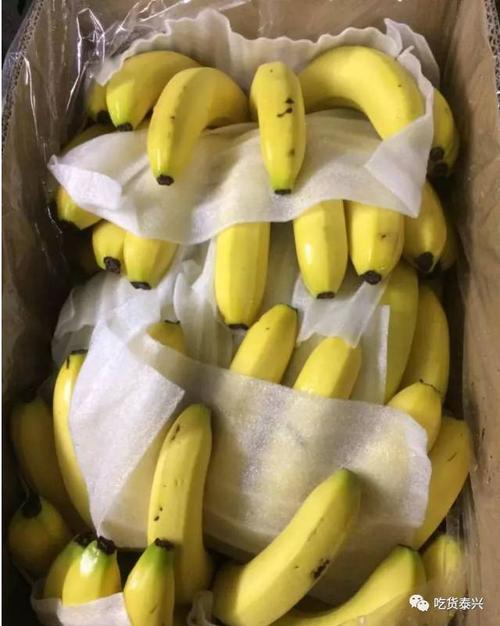 9元/箱/约17斤(每人限购一箱) 品名:香蕉   产地:广西 与国内其他产区