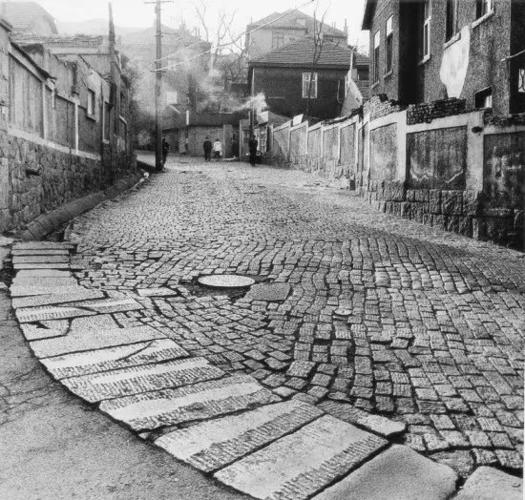 青岛记忆 | 消逝的波螺油子