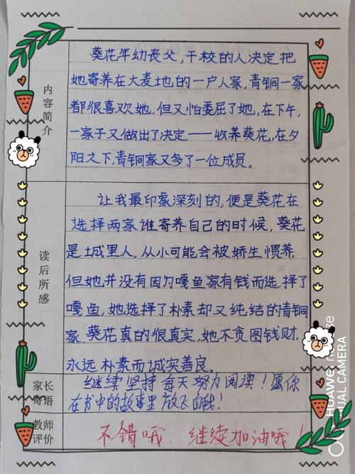 《青铜葵花》阅读推进课活动记 写美篇   这是评出的优秀阅读卡,从