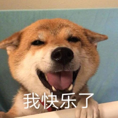 搞笑表情包 | 无所谓也有点累,我是午夜伤心的玫瑰!