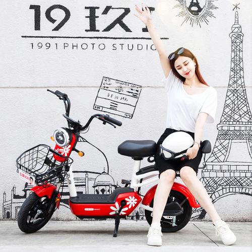 五星钻豹电动车新国标电动自行车成人代步车48v电瓶车