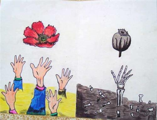 小学生禁毒作文800字