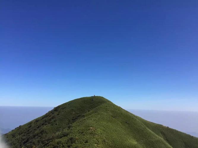 data-lemmaid="2946436">罗霄山脉 /a>主峰南风面坐落在江西省 a