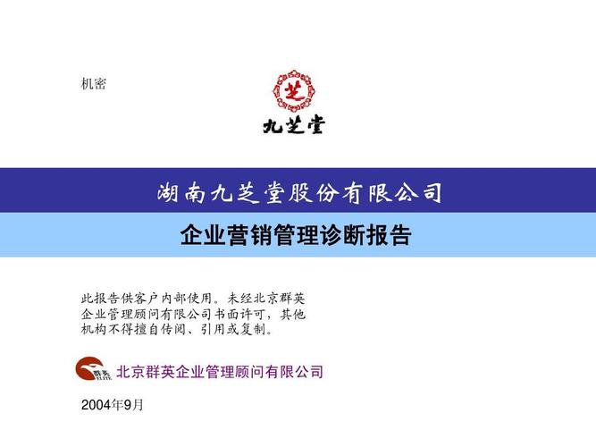九芝堂股份公司营销诊断报告-fnlppt
