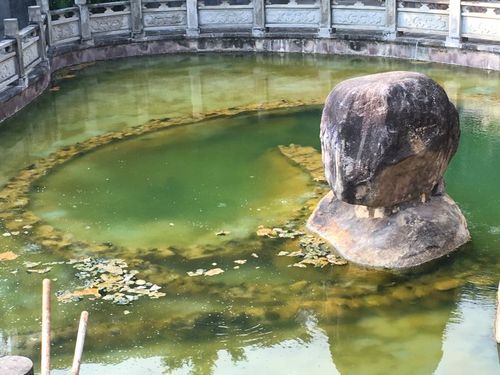 酒店外天然温泉源头——太极泉﻿