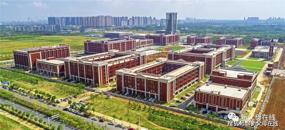 原创四大名高上线161人!华师一光谷分校中考成绩再次轰动全市