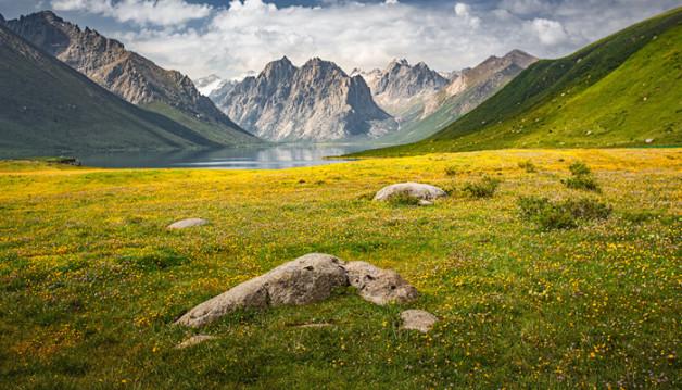 世界上最矮的山是什么山