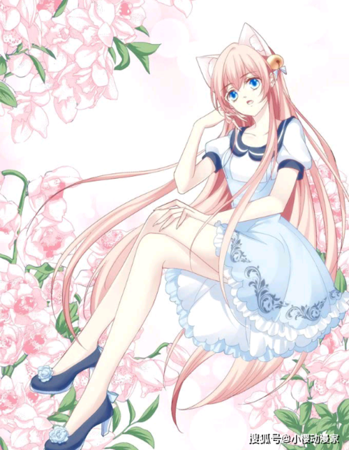 原创猫妖的诱惑第二季7月22上线苏清寒和沈墨卿婚后生活开启