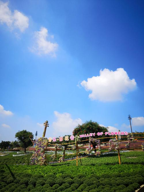 五龙山音乐百花谷