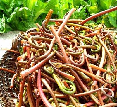 麻辣三鲜薇菜
