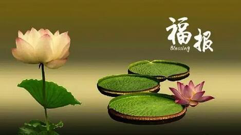 福报的获得,根本因是布施,要在根本上努力.