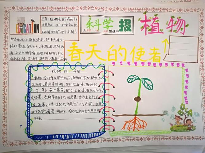 写美篇       第二个环节,我们用看到的春天的植物作为手抄报的装饰