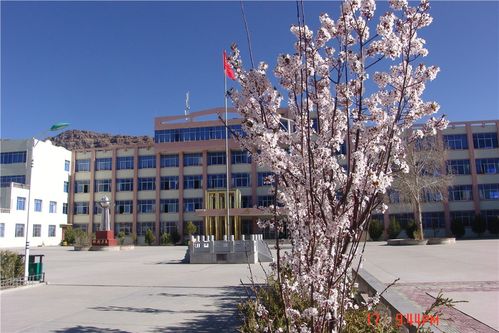 桑珠孜区第一中学_校容校貌_dsc00199
