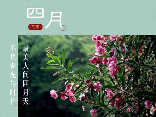 最美人间四月天,繁花共赏