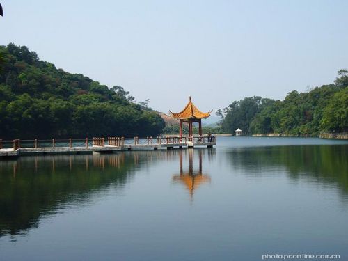 【我的风景照之二摄影图片】广州市岭头干部疗养院__.